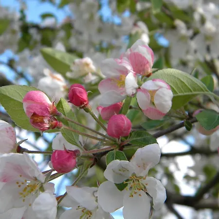 D'hotes Le Nid Du Phare Avec Jacuzzi Prive 4*