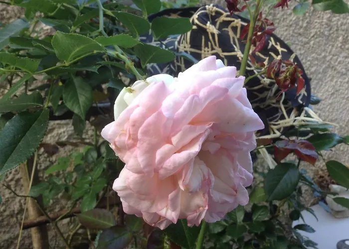 Bed & Breakfast D'hotes Le Nid Du Phare Avec Option Jacuzzi Prive