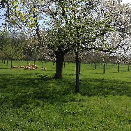 D'hotes Le Nid Du Phare Avec Option Jacuzzi Prive