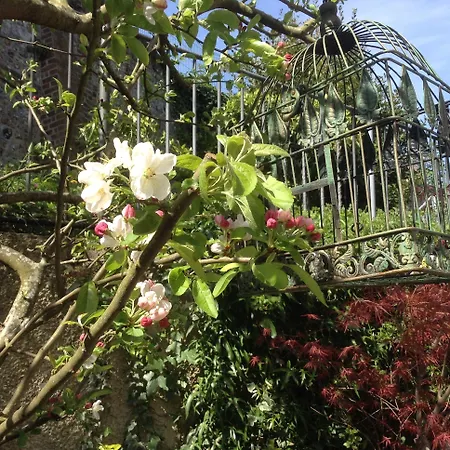 D'hotes Le Nid Du Phare Avec Jacuzzi Prive B&B 4*