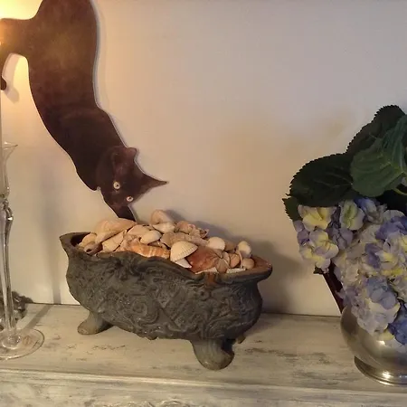 D'hotes Le Nid Du Phare Avec Jacuzzi Prive 4*