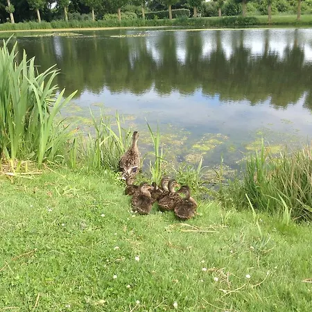 B&B D'hotes Le Nid Du Phare Avec Jacuzzi Prive