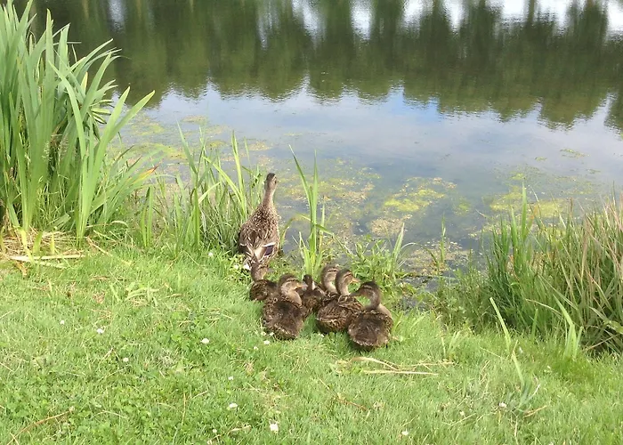D'hotes Le Nid Du Phare Avec Option Jacuzzi Prive