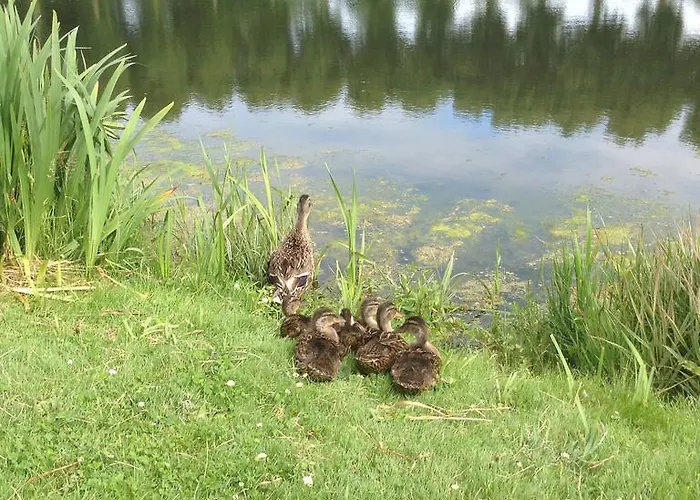 לינה וארוחת בוקר D'hotes Le Nid Du Phare Avec Option Jacuzzi Prive